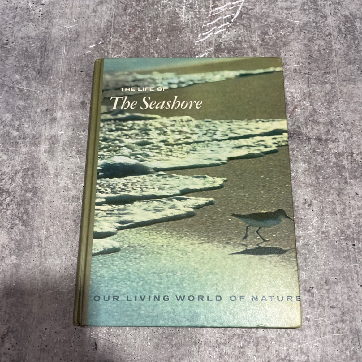 our living world of nature the life of the seashore book, by william h. amos, 1969 Hardcover image 1