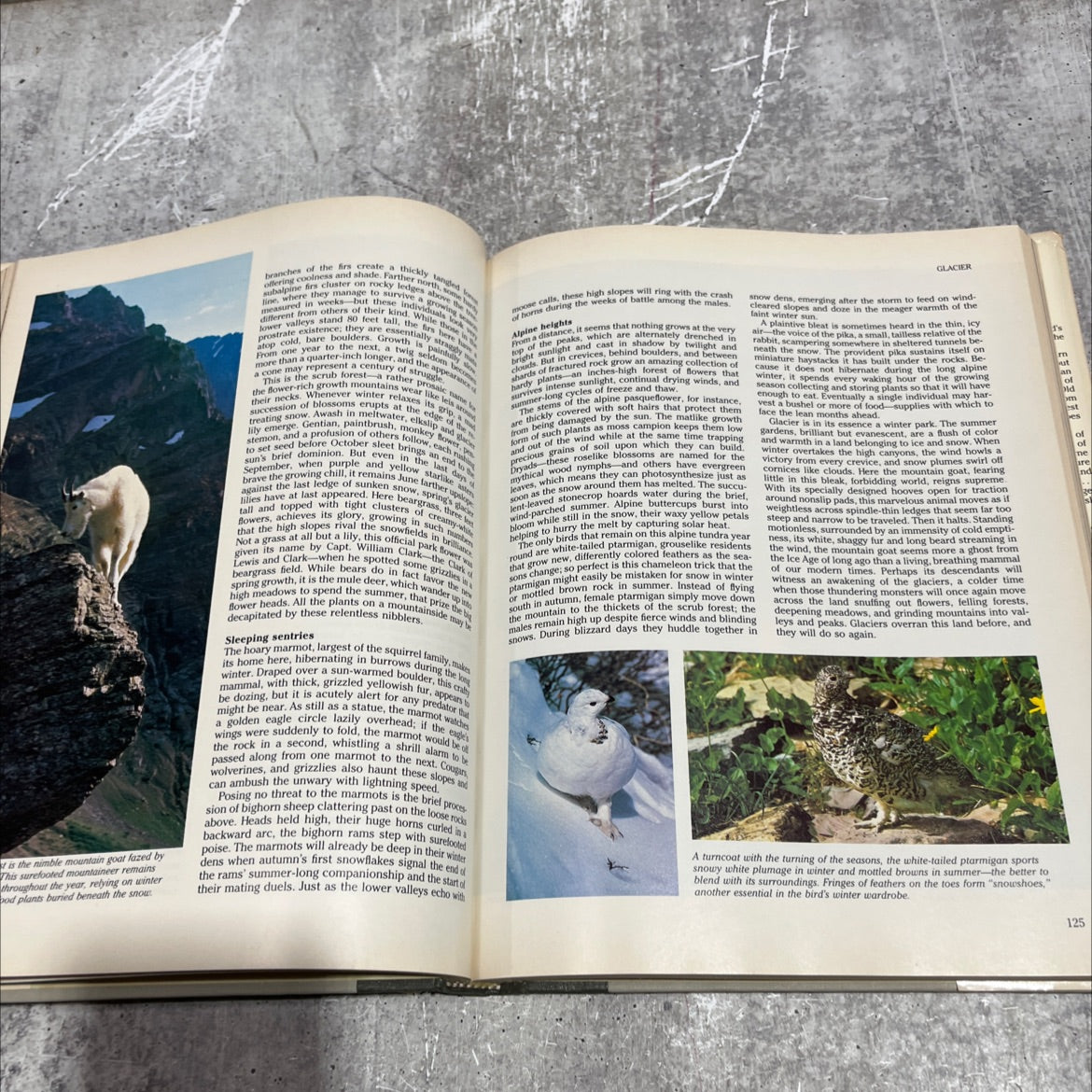 our national parks book, by Reader's Digest Association, Inc., 1985 Hardcover image 4