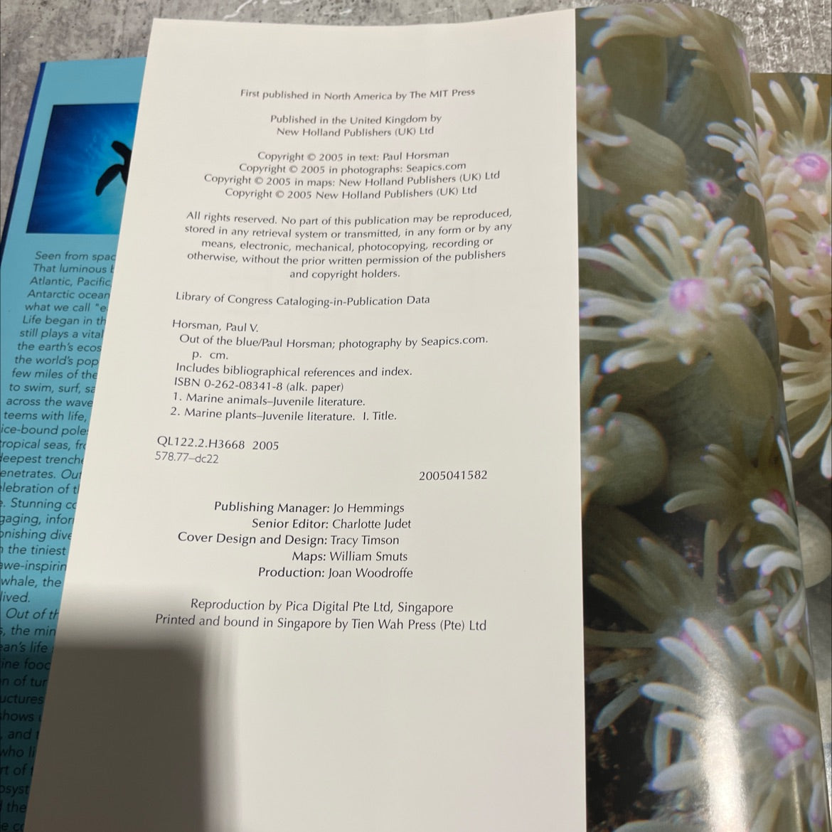 out of the blue book, by paul horsman, 2005 Hardcover image 3