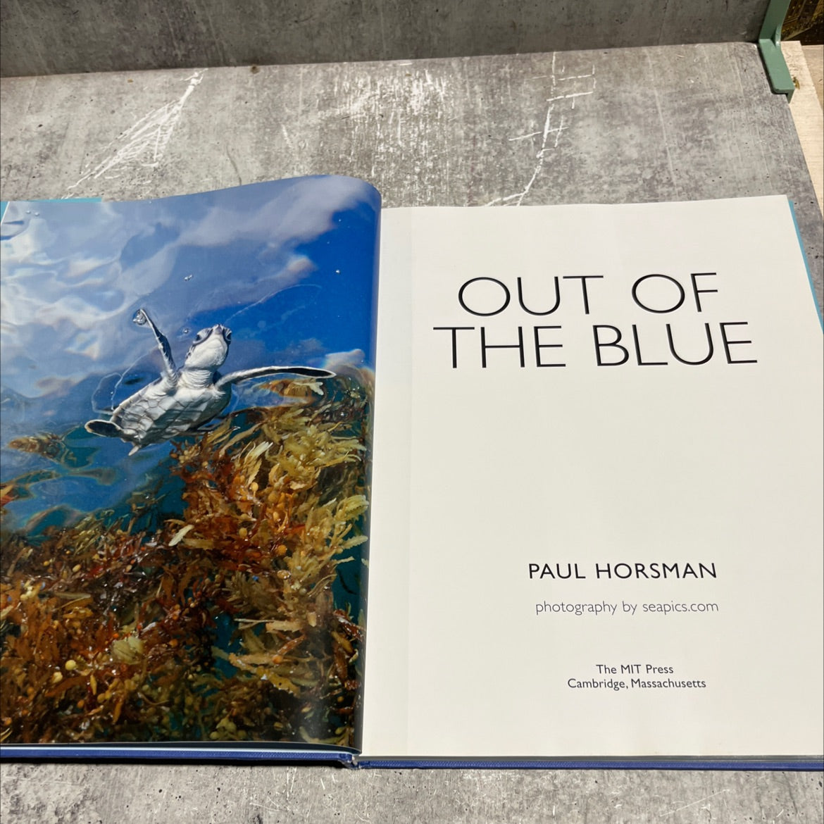 out of the blue book, by paul horsman, 2005 Hardcover image 2