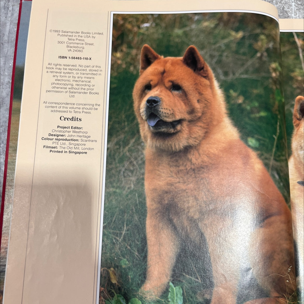 owning the right dog book, by Joan Palmer, 1993 Hardcover image 3