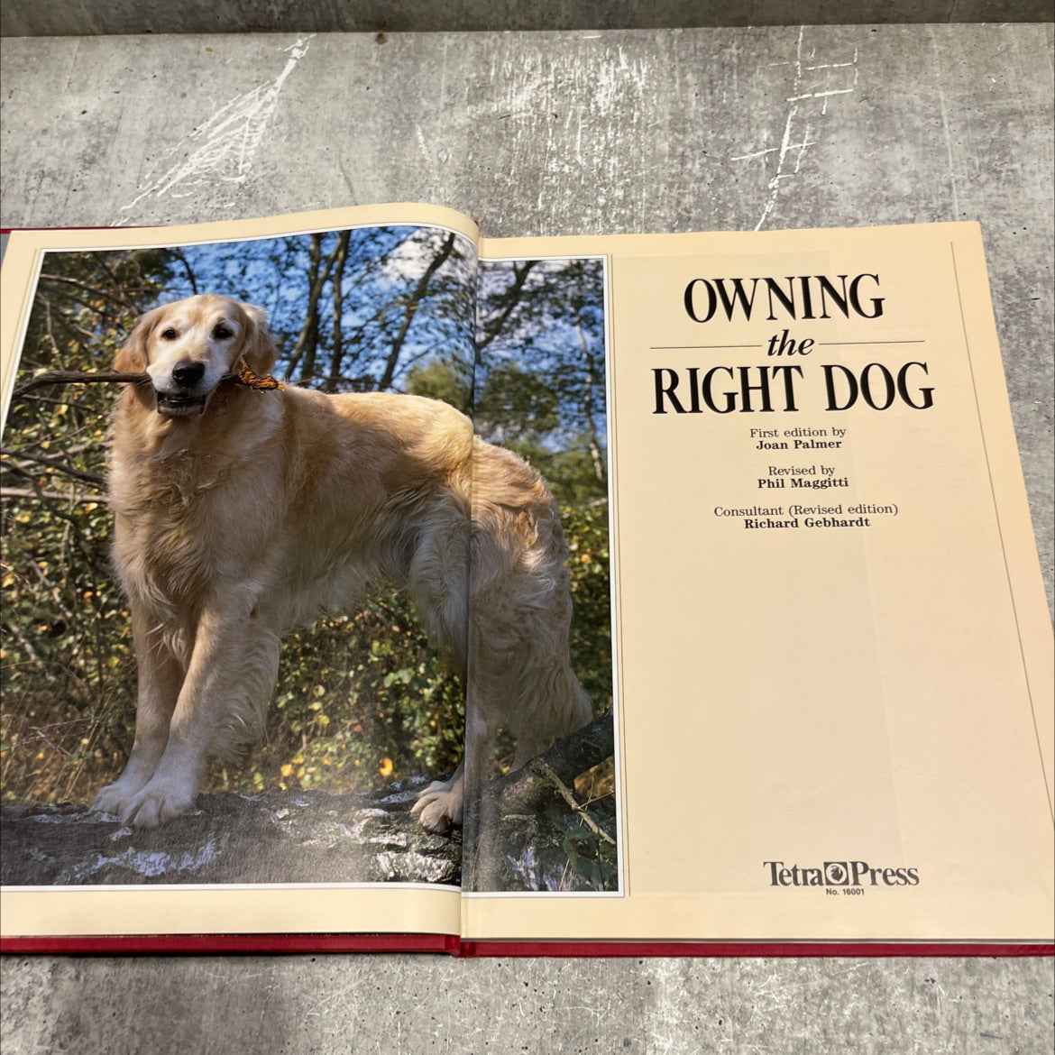 owning the right dog book, by Joan Palmer, 1993 Hardcover image 2
