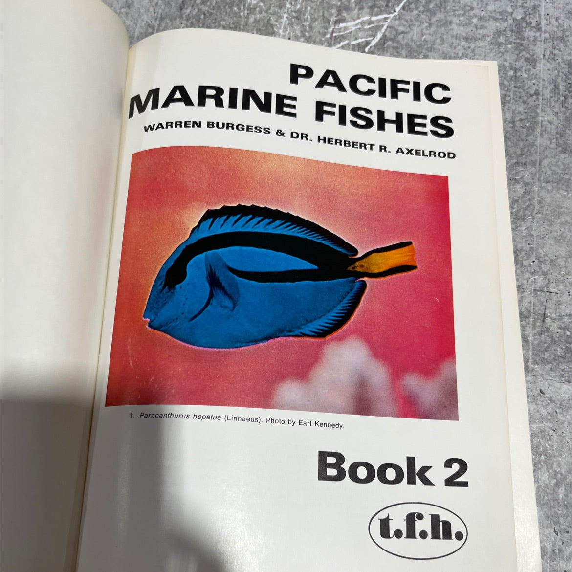 pacific marine fishes book, by warren burgess & dr. herbert r. axelrod, 1973 Hardcover image 2