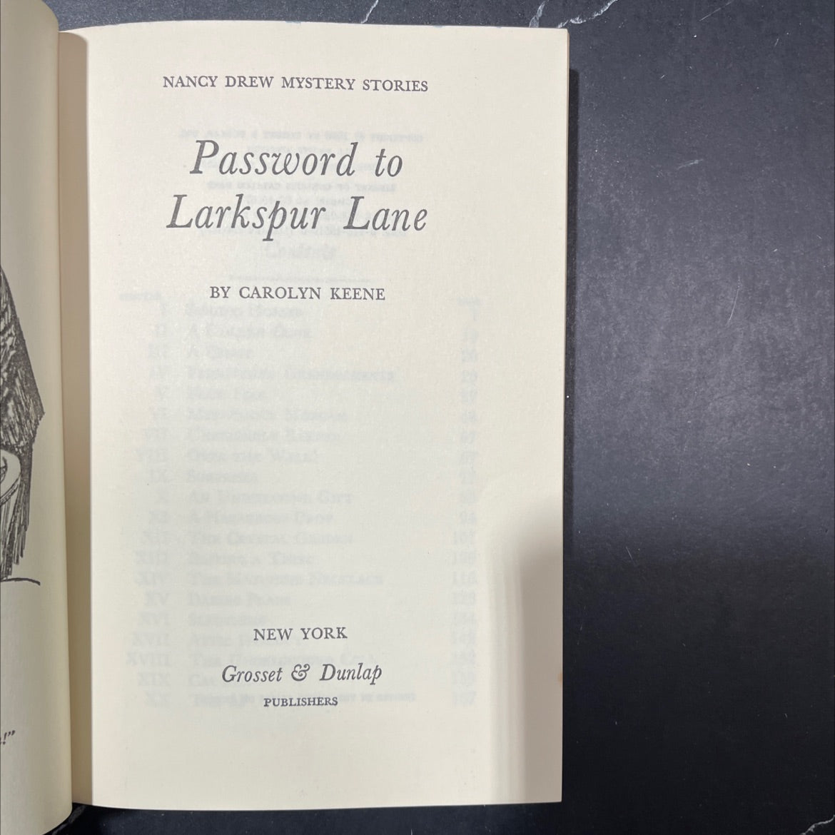 password to larkspur lane book, by carolyn keene, 1966 Hardcover image 2