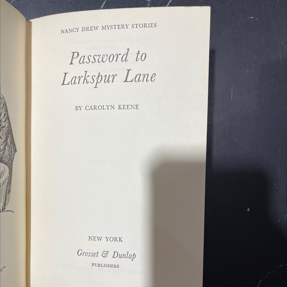 password to larkspur lane book, by carolyn keene, 1971 Hardcover image 2