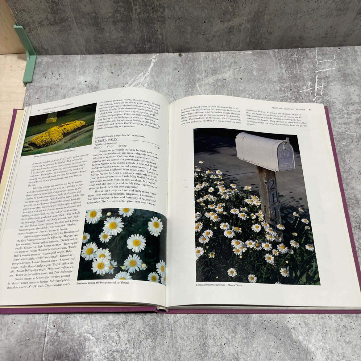 perennial garden color book, by William C. Welch, 1989 Hardcover image 4