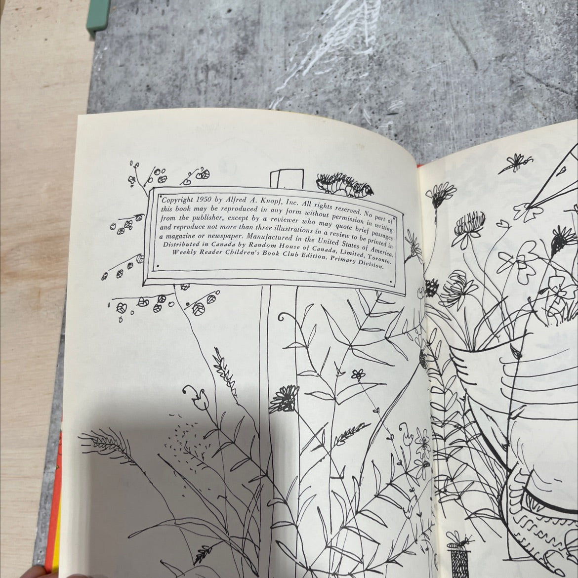 petunia book, by roger duvoisin, 1950 Hardcover image 3