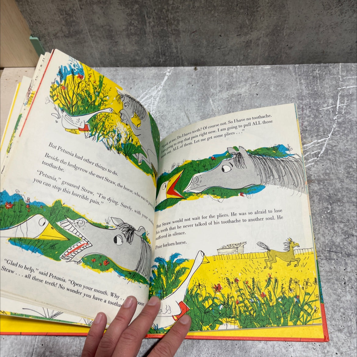 petunia book, by roger duvoisin, 1950 Hardcover image 4