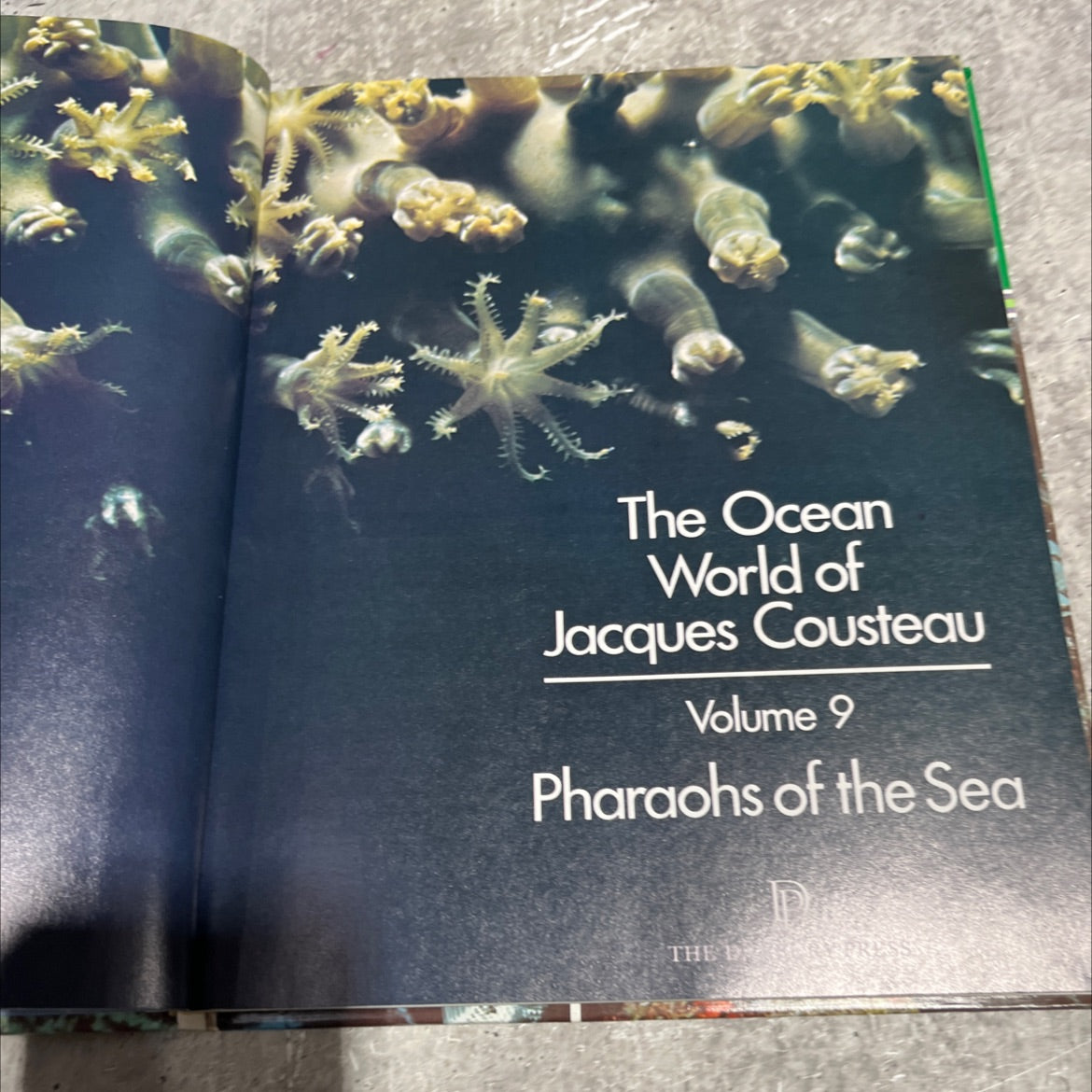 pharaohs of the sea book, by jacques-yves cousteau, 1975 Hardcover image 2
