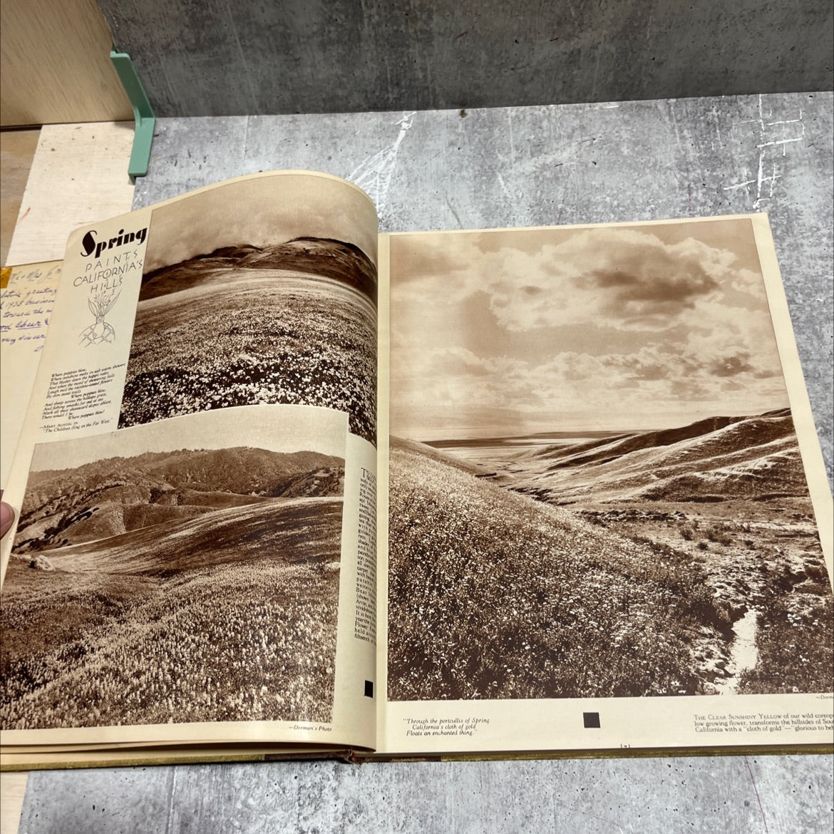 pictorial california book, by eugene swarzwald, unknown Hardcover image 3