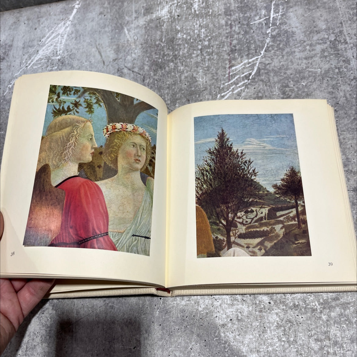 piero della francesca book, by unknown, 1954 Hardcover image 4