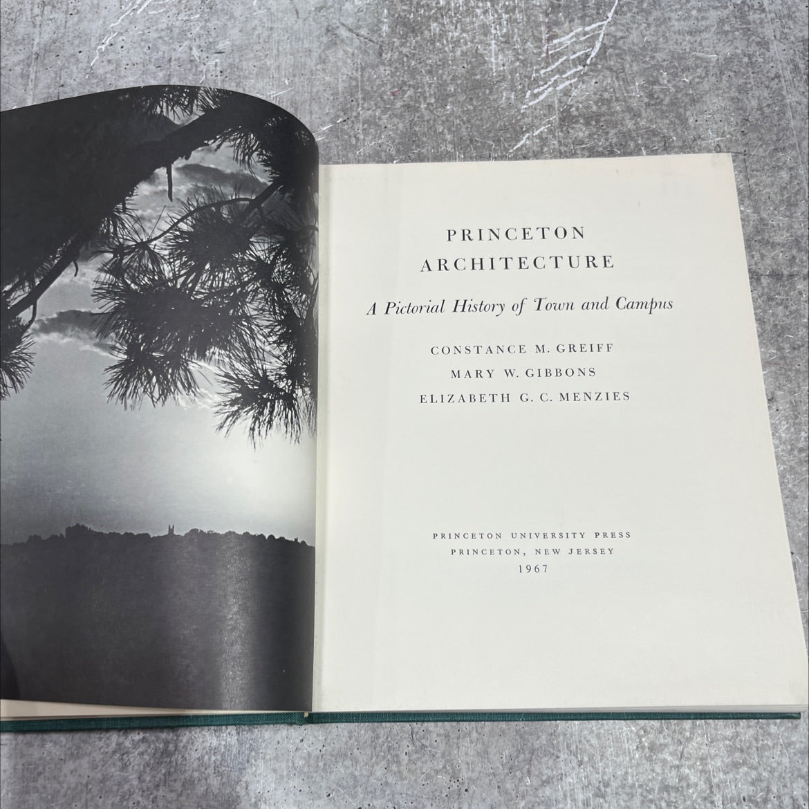princeton architecture a pictorial history of town and campus book, by constance m. greiff, mary w. gibbons, elizabeth image 2