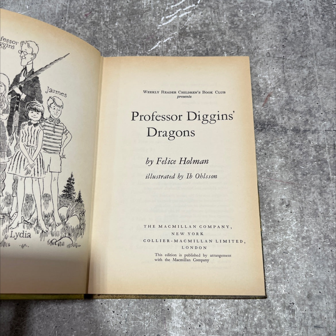 professor diggins' dragons book, by Felice Holman, 1966 Hardcover image 2