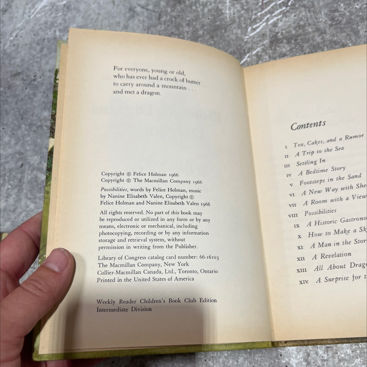 professor diggins' dragons book, by Felice Holman, 1966 Hardcover image 3