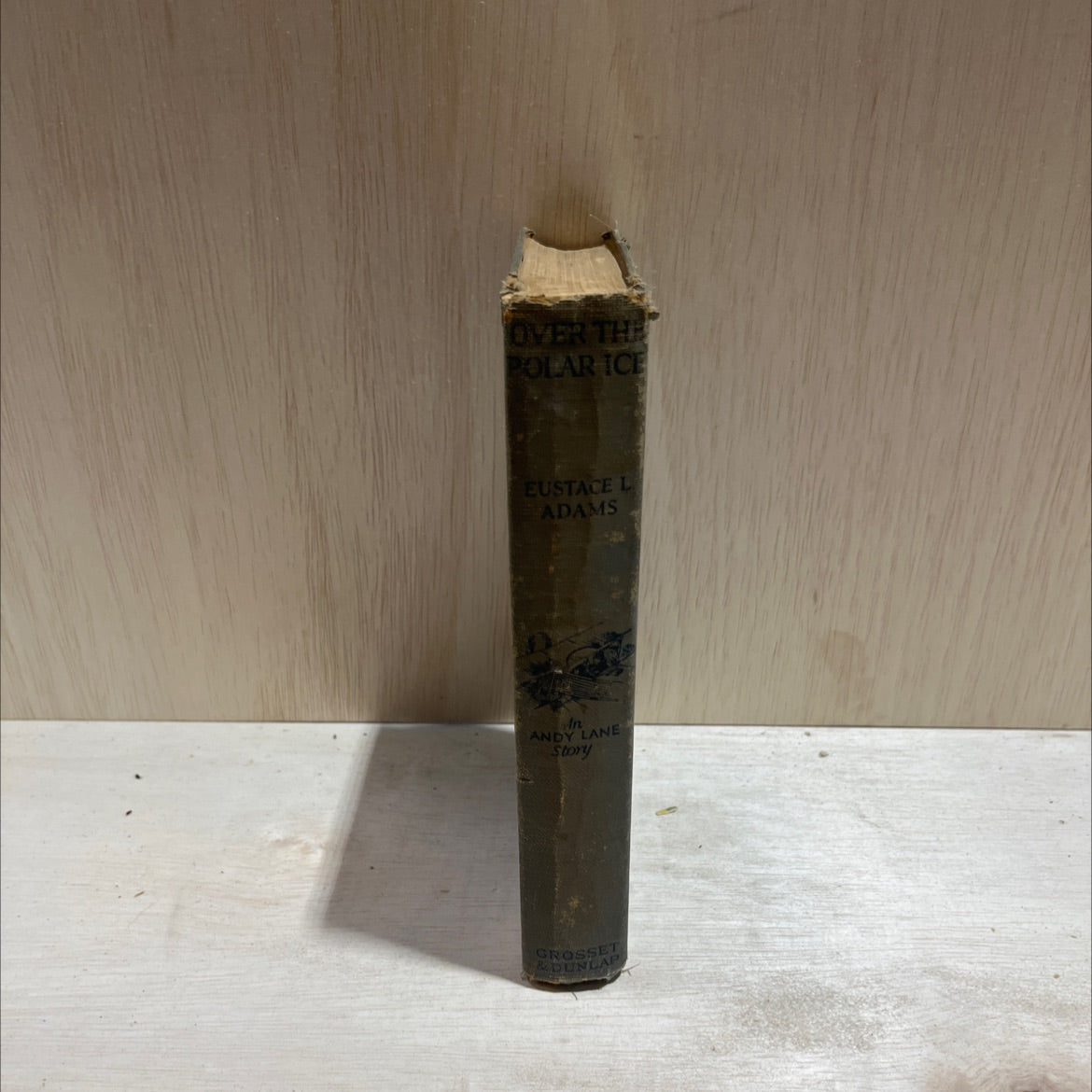 reck of brewster's plane book, by eustace l. adams, 1928 Hardcover image 4
