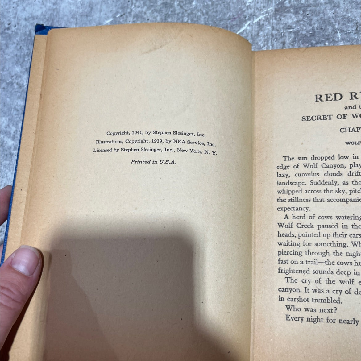 red ryder and the secret of wolf canyon book, by s. s. stevens, 1941 Hardcover image 3