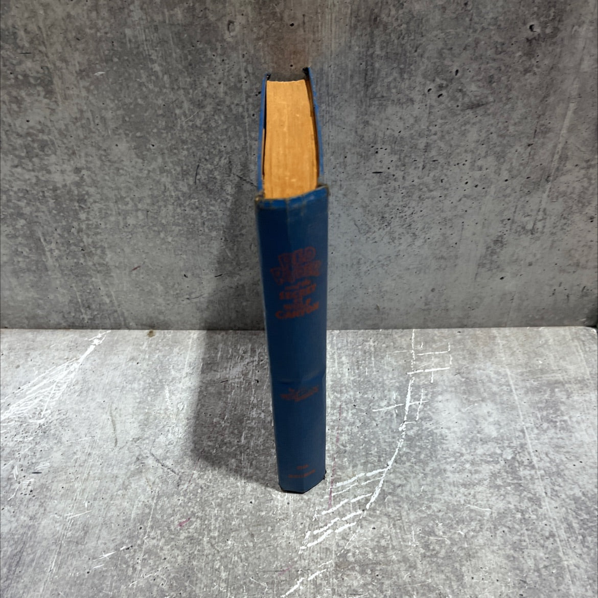 red ryder and the secret of wolf canyon book, by s. s. stevens, 1941 Hardcover image 4