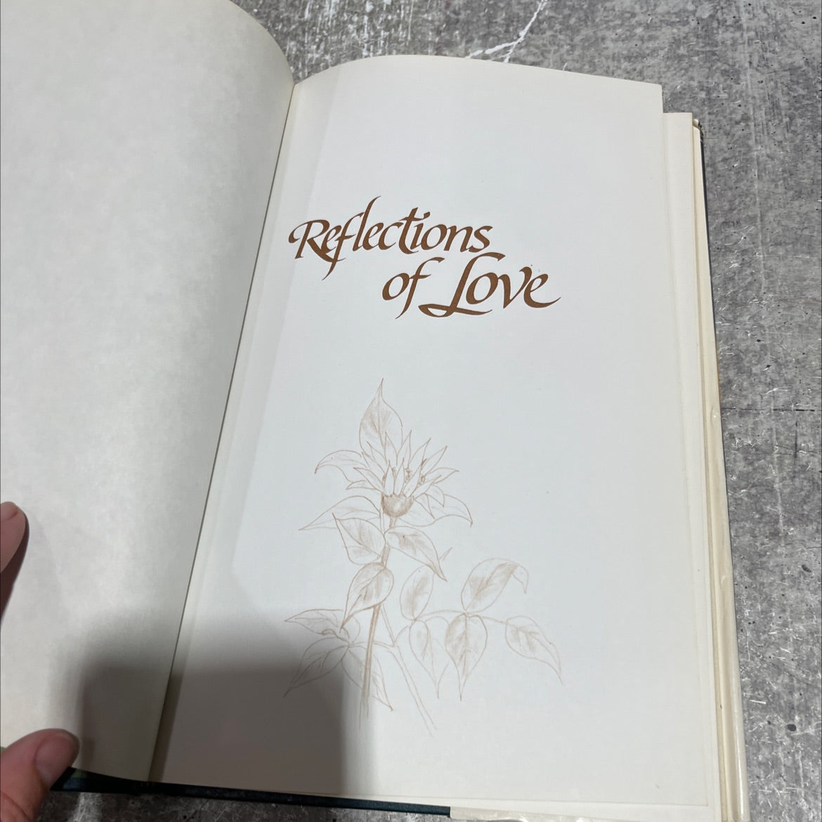 reflections of love book, by Alice Joyce Davidson, 1983 Hardcover image 2