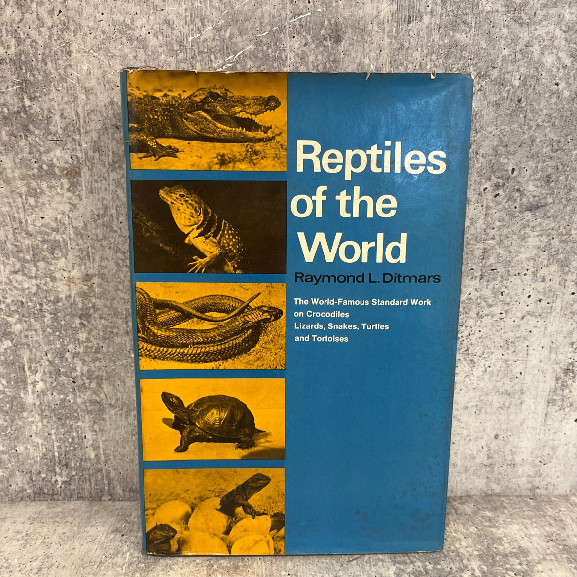 reptiles of the world the crocodilians, lizards, snakes, turtles and tortoises of the eastern and western hemispheres image 1