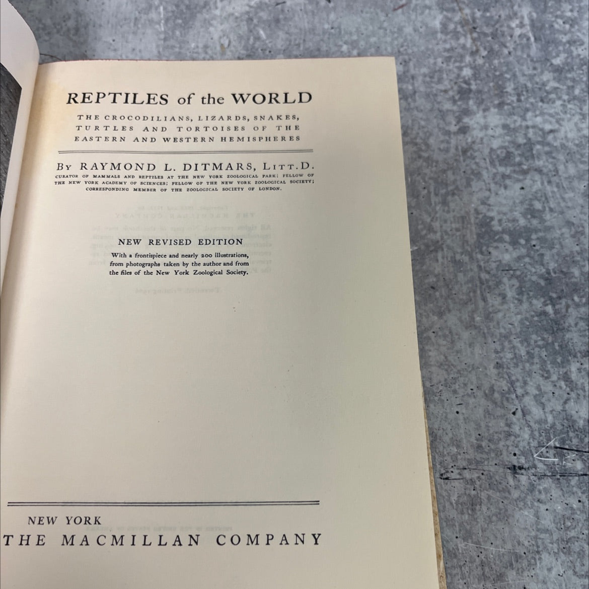 reptiles of the world the crocodilians, lizards, snakes, turtles and tortoises of the eastern and western hemispheres image 2