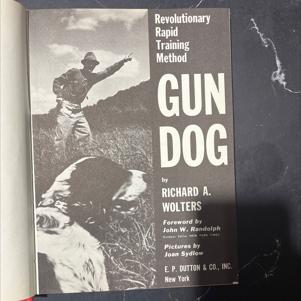 revolutionary rapid training method gun dog book, by richard a. wolters, 1961 Hardcover image 2