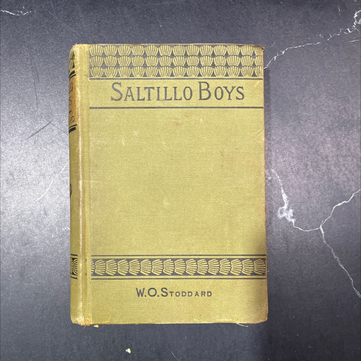 saltillo boys book, by william o. stoddard, 1886 Hardcover, First Edition, Antique image 1