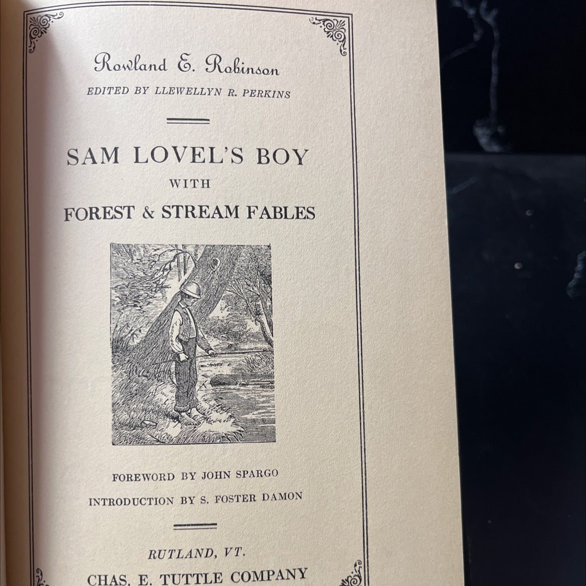 sam lovel's boy book, by llewellyn rood perkins, 1936 Hardcover image 1