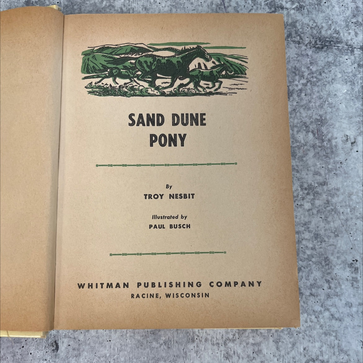 sand dune pony book, by troy nesbit, 1954 Hardcover, Vintage image 2