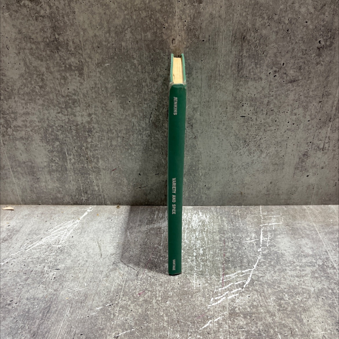 sav a variety and spice book, by delia maples martin jenkins, 1969 Hardcover image 4