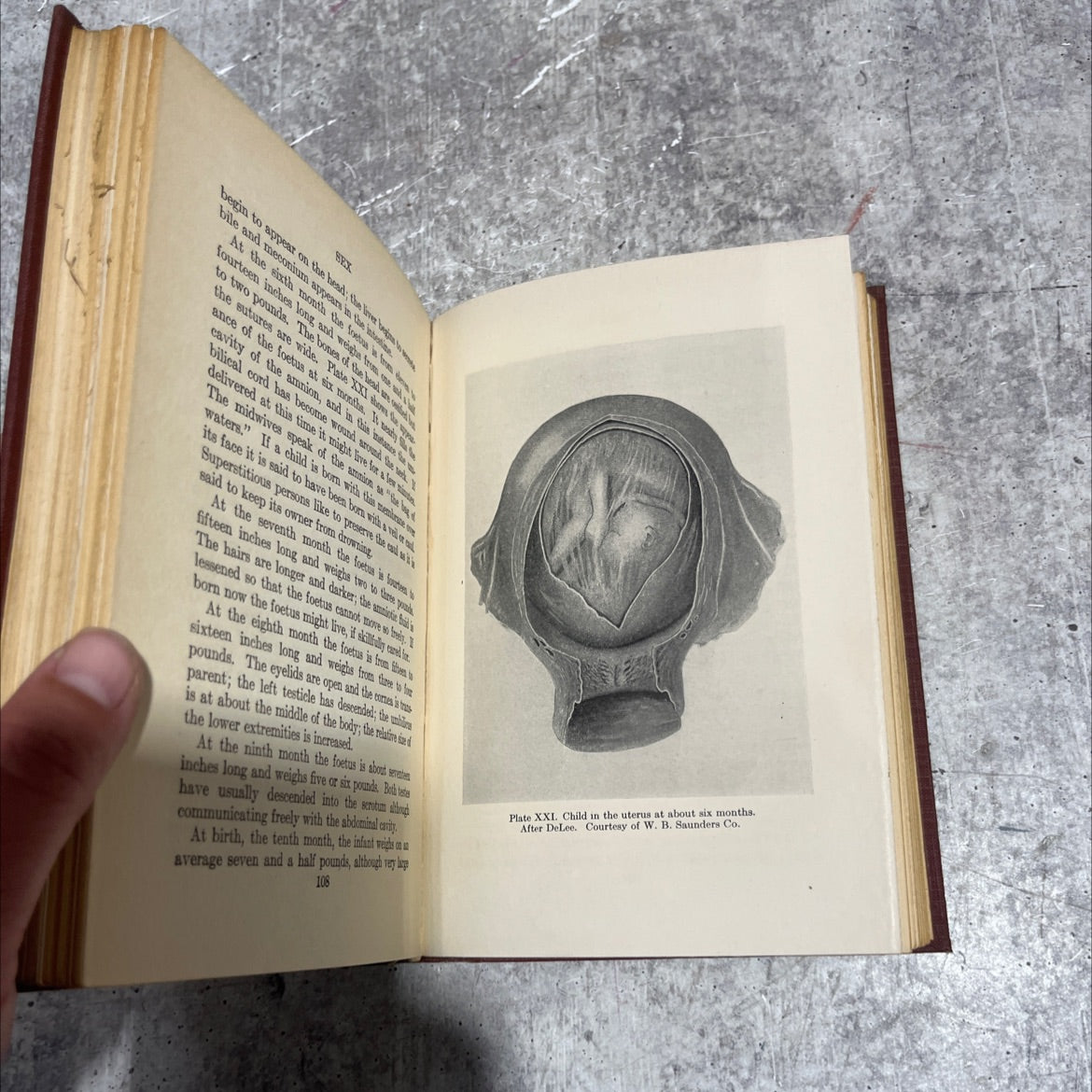 sex for parents and teachers book, by william leland stowell, m.d., 1924 Hardcover image 4