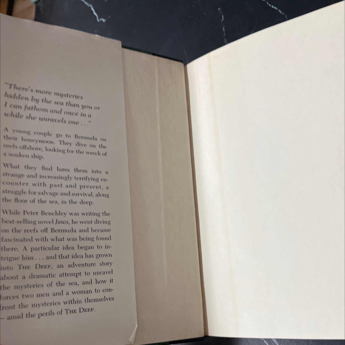 shulen denun book, by peter benchley, 1976 Hardcover image 4