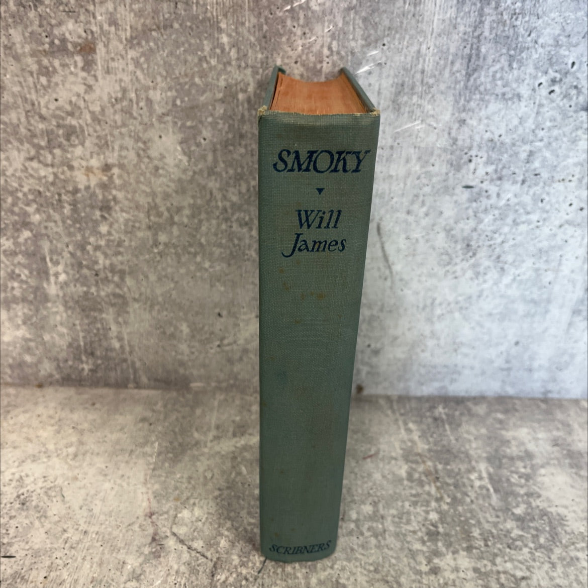 smokey the cowhorse book, by will james, 1926 Hardcover, First Edition, Vintage, Antique image 4