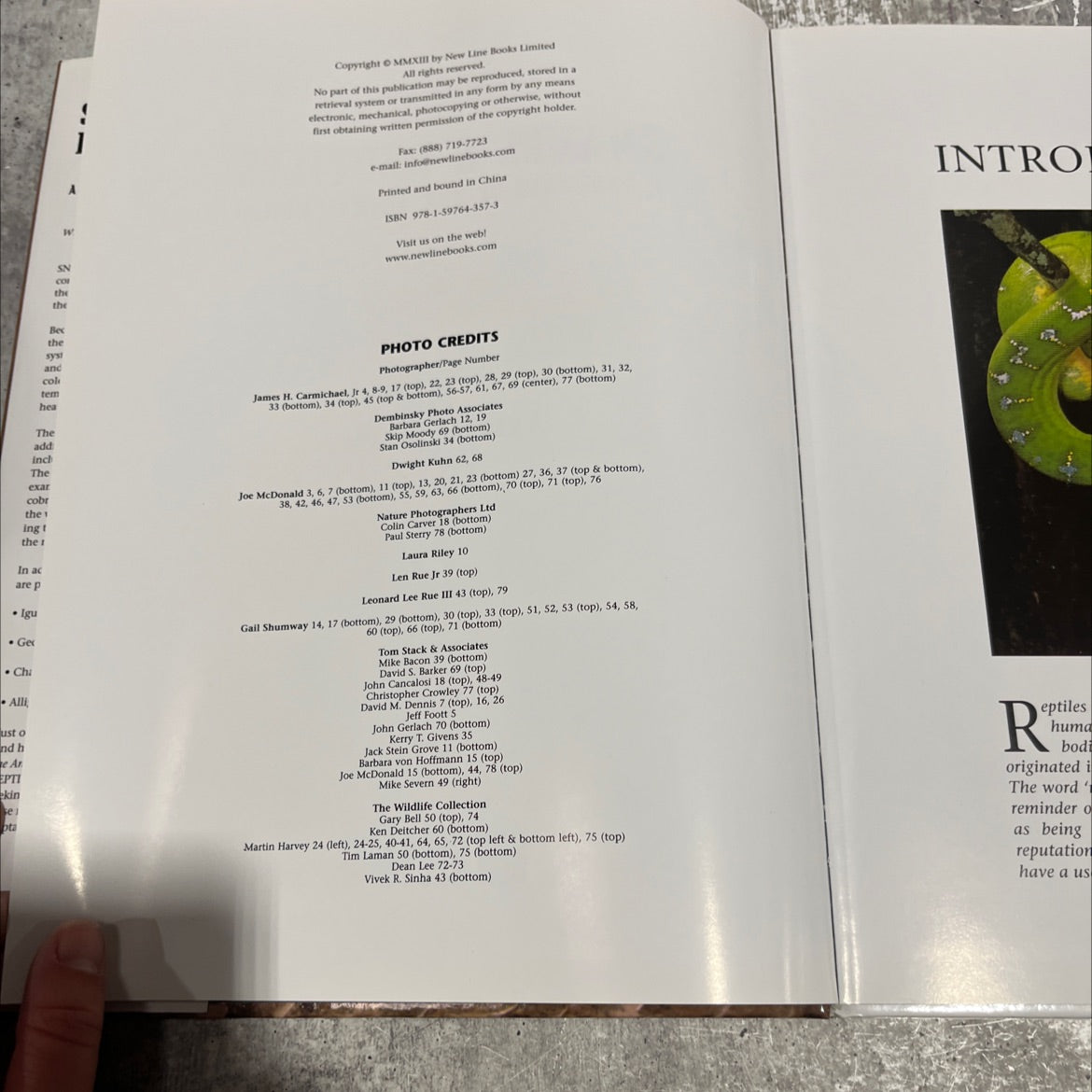 snakes & reptiles a portrait of the animal world book, by andrew cleave, 2013 Hardcover image 3