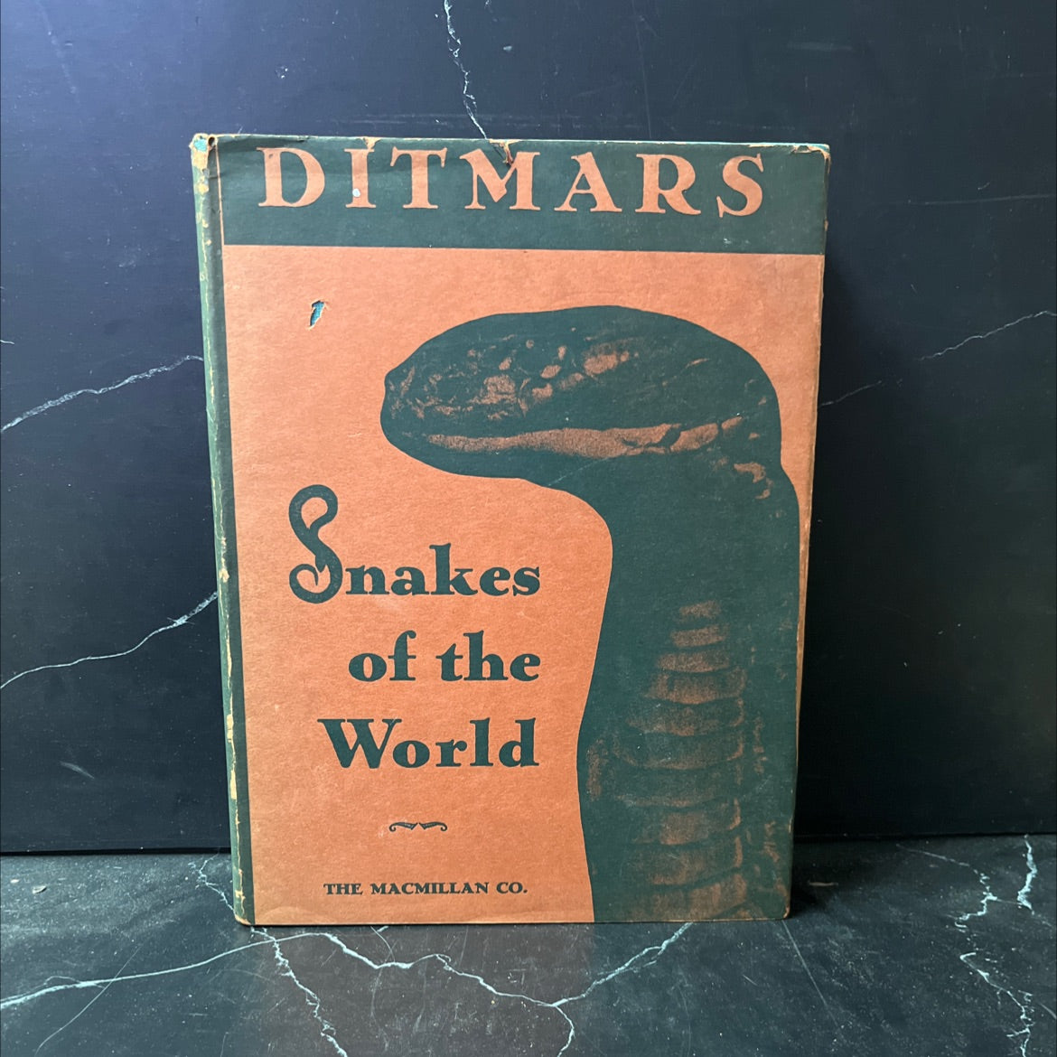 snakes of the world book, by raymond l. ditmars, 1949 Hardcover image 1