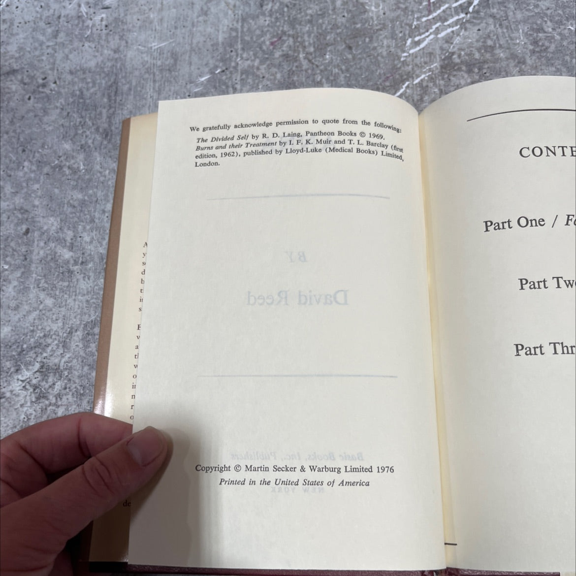 soda anna book, by David Reed, 1976 Hardcover image 3