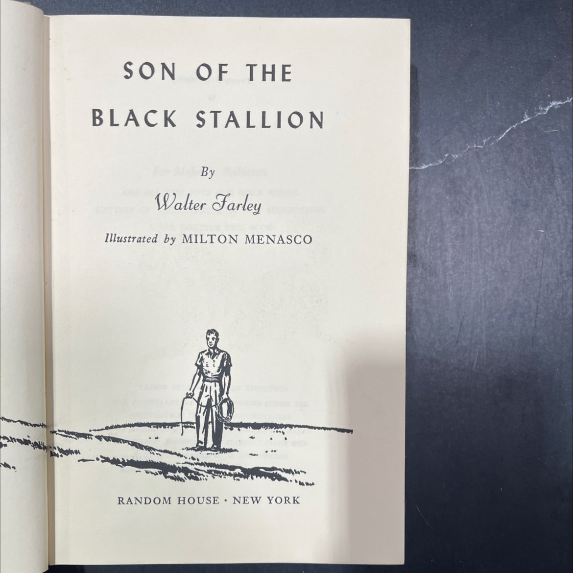 son of the black stallion book, by Walter Farley, 1947 Hardcover image 2