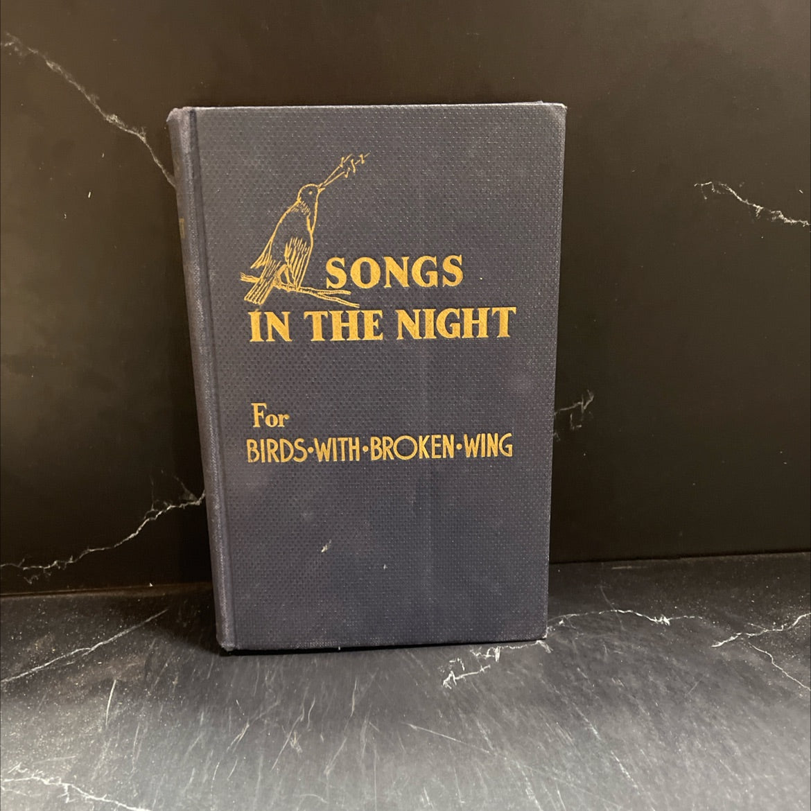 songs in the night for birds with broken wing book, by charles edward hewitt, 1938 Hardcover image 1