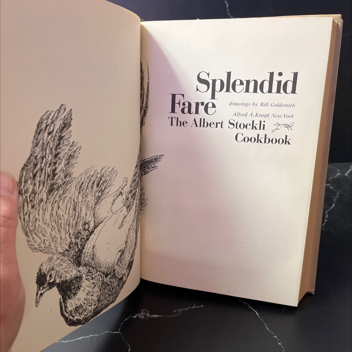 splendid fare book, by Albert Stockli, 1970 Hardcover image 2