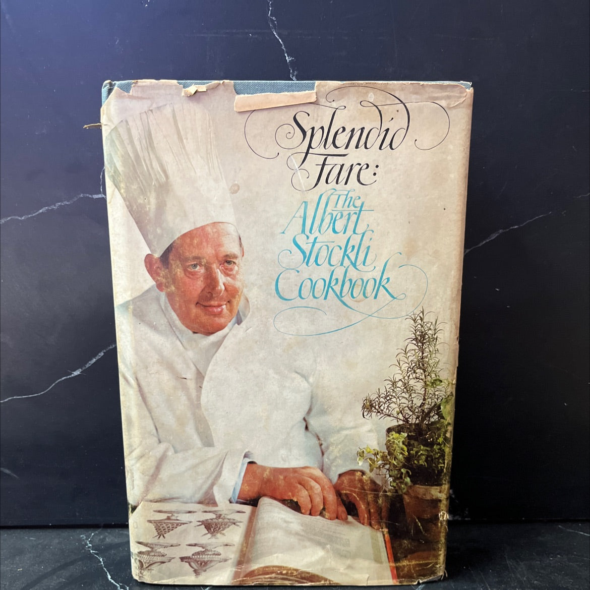 splendid fare book, by Albert Stockli, 1970 Hardcover image 1