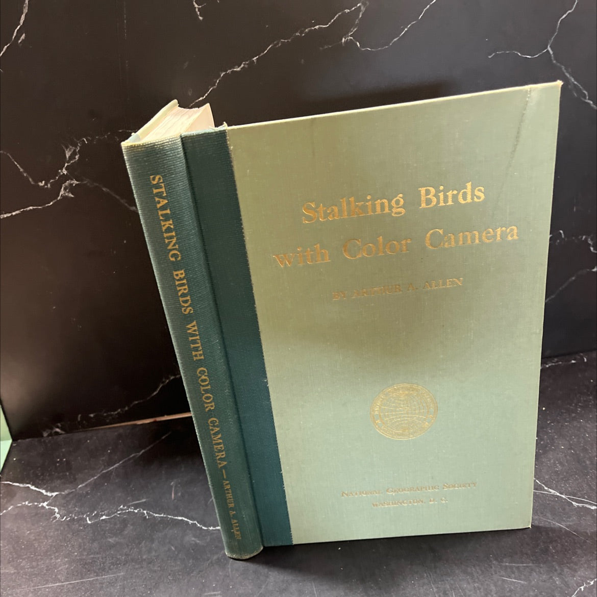 stalking birds with color camera book, by arthur a. allen, ph.d., 1951 Hardcover, Vintage image 1