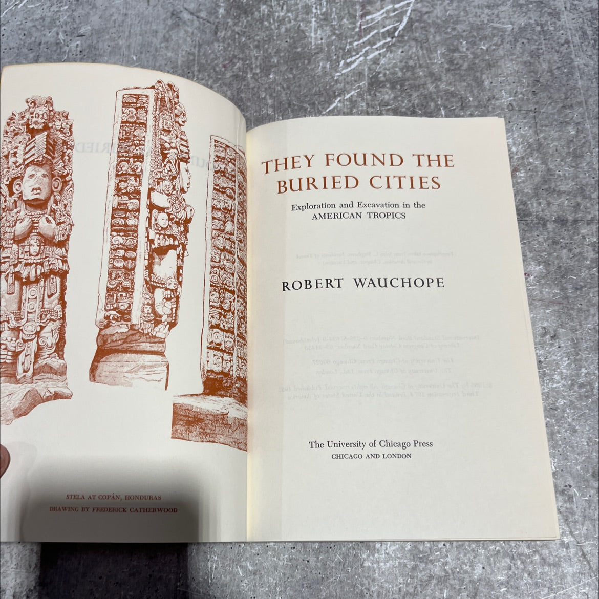 stela at copán, honduras drawing by frederick catherwood they found the buried cities exploration and excavation in the image 2