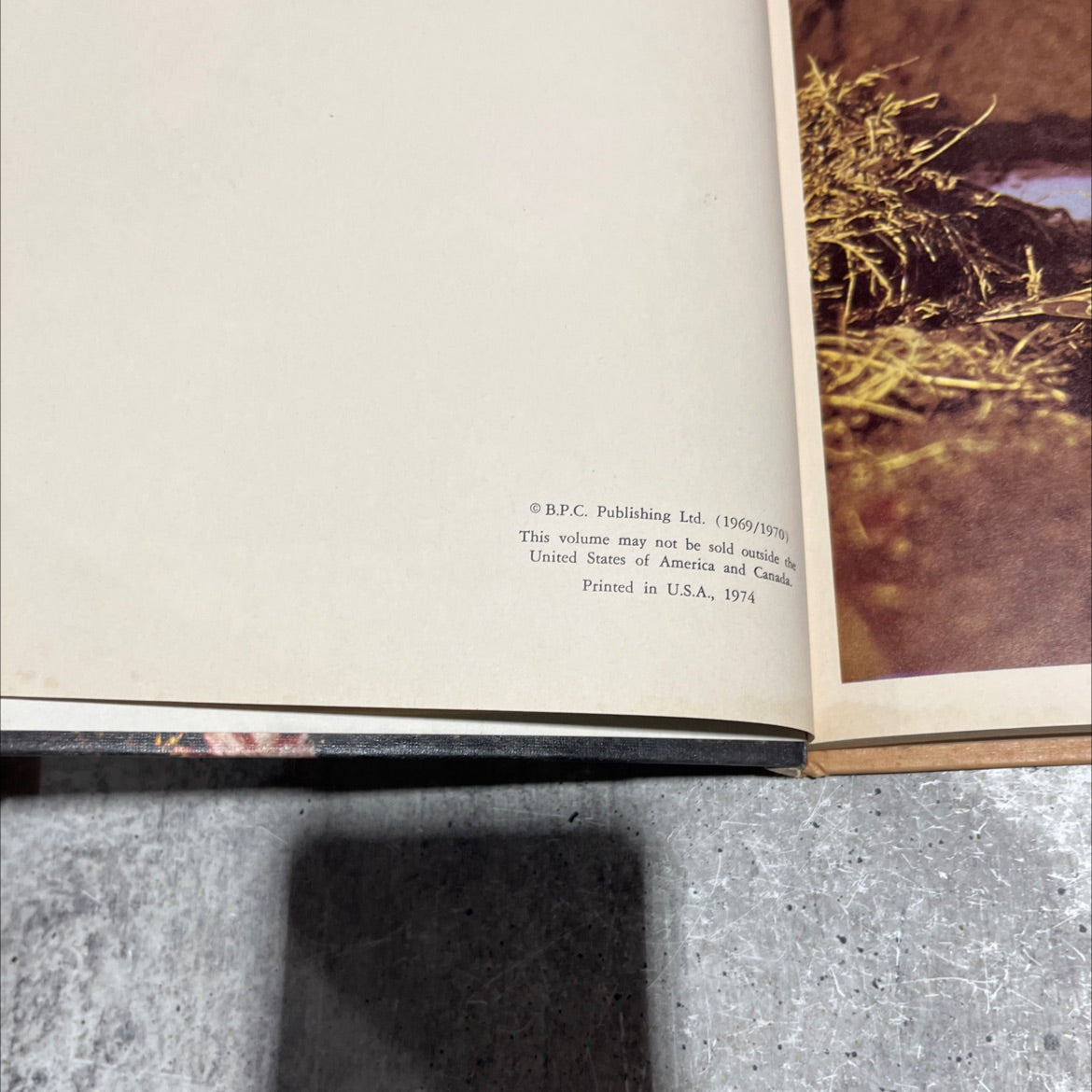 stoat and sloth book, by unknown, 1974 Hardcover image 3