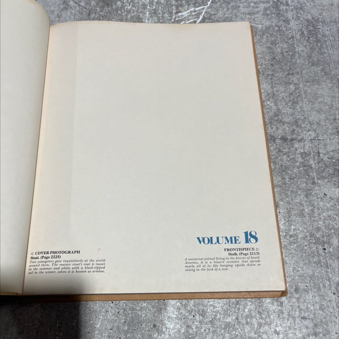 stoat and sloth book, by unknown, 1974 Hardcover image 2