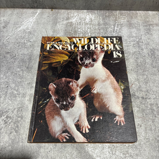 stoat and sloth book, by unknown, 1974 Hardcover image 1