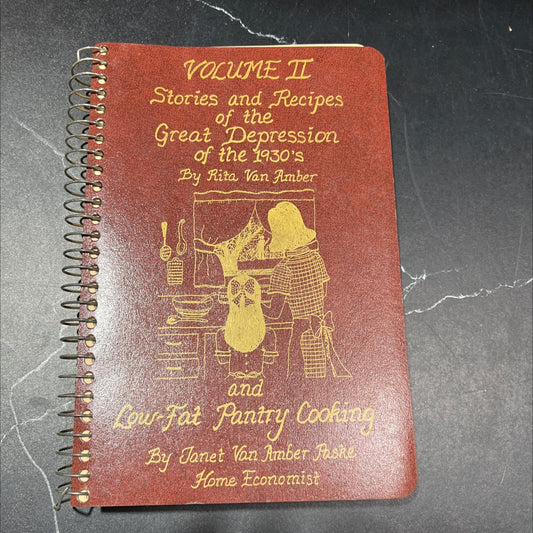 stories and recipes of the great depression of the 1930's book, by Rita Van Amber, 1993 Paperback image 1