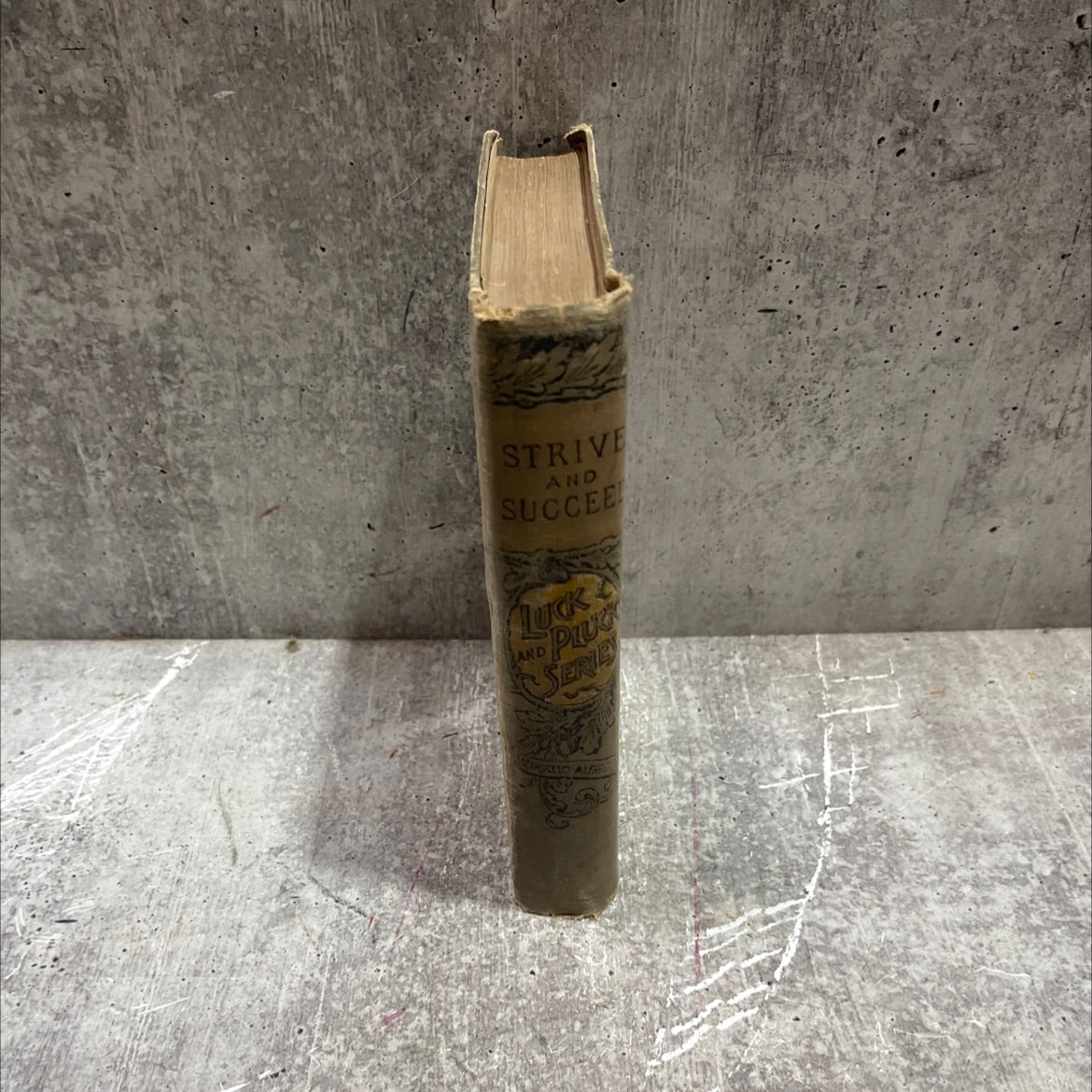 strive and succeed; or, the progress of walter conrad book, by horatio alger, jr., 1972 Hardcover image 4