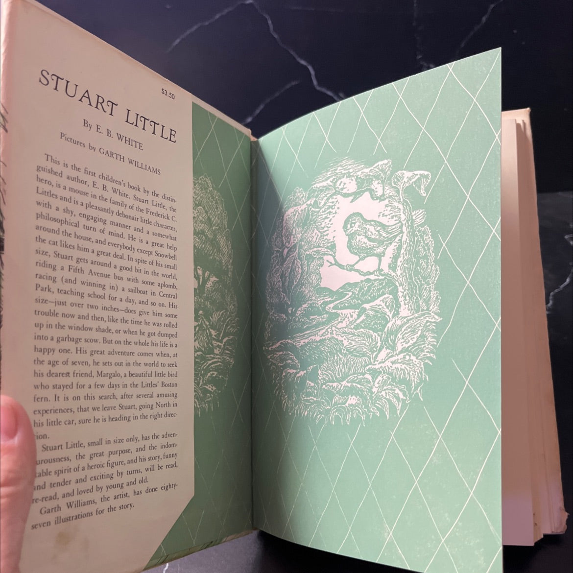 stuart little book, by e. b. white, 1945 Hardcover image 4
