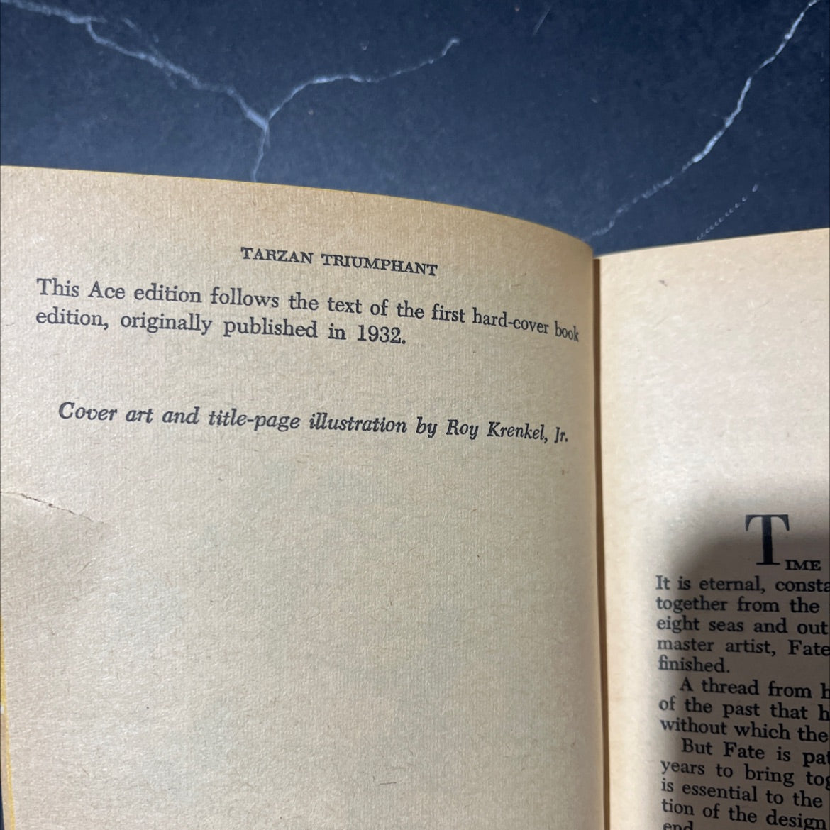 tarzan triumphant book, by edgar rice burroughs, 1932 Paperback image 3