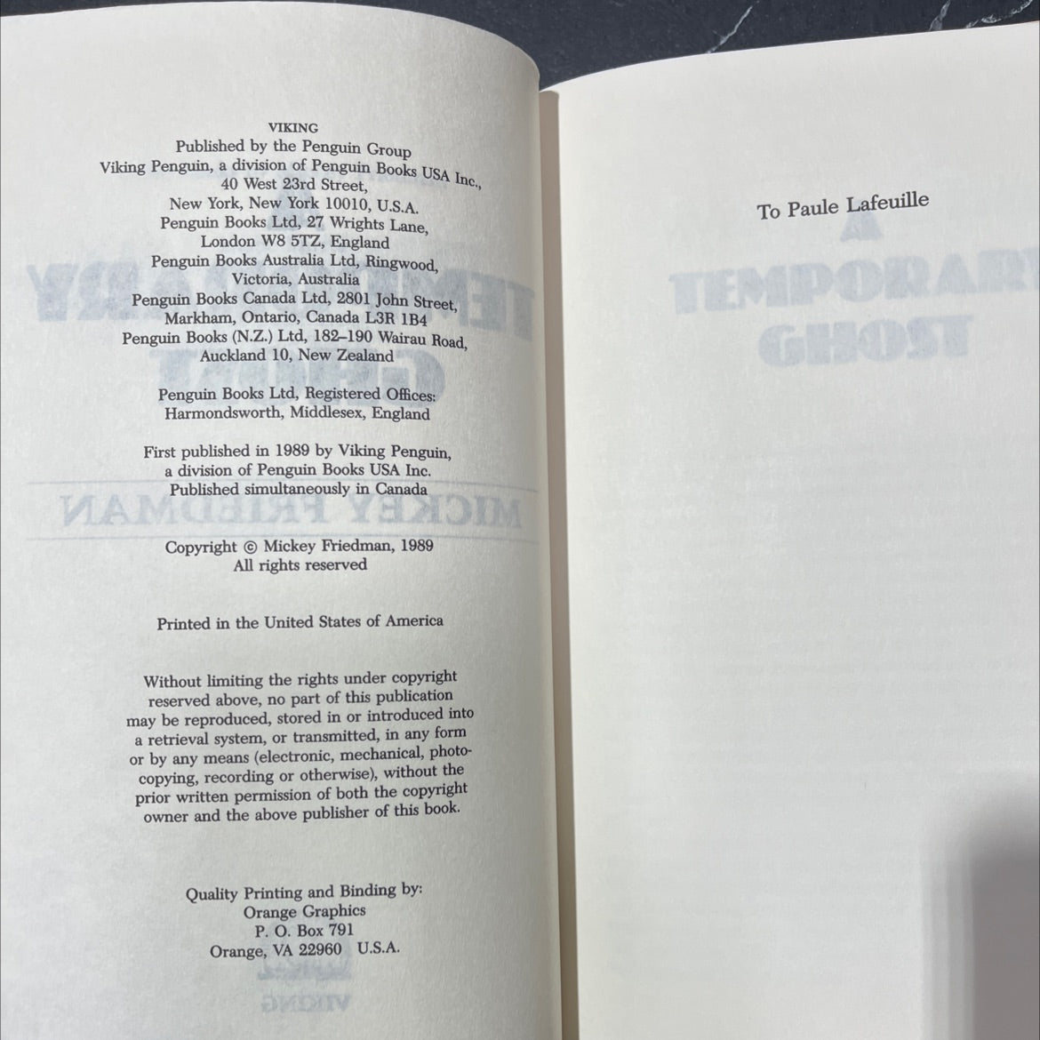 temporary ghost book, by mickey friedman, 1989 Hardcover image 3