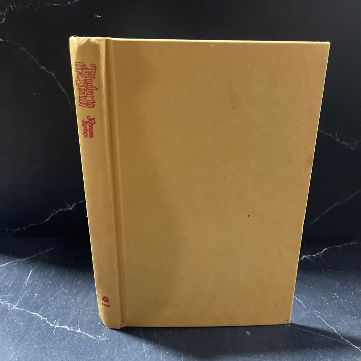 tender is the storm book, by johanna lindsey, 1985 Hardcover image 1